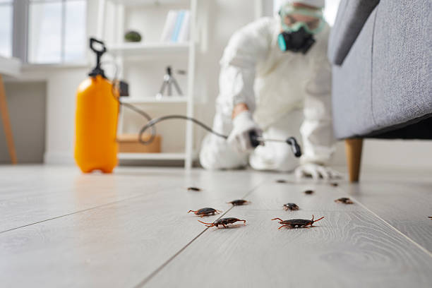Trusted Fumigation Services service in Elizabeth, NJ - Nex Pest Control