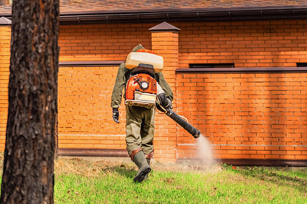 Trusted Ant Control service in Elizabeth, NJ - Nex Pest Control